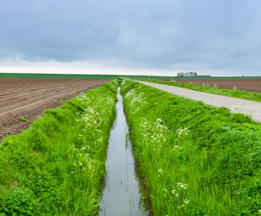 Preventing waterlogging, improving soil health and supporting sustainable land management, all through advanced land drainage techniques.